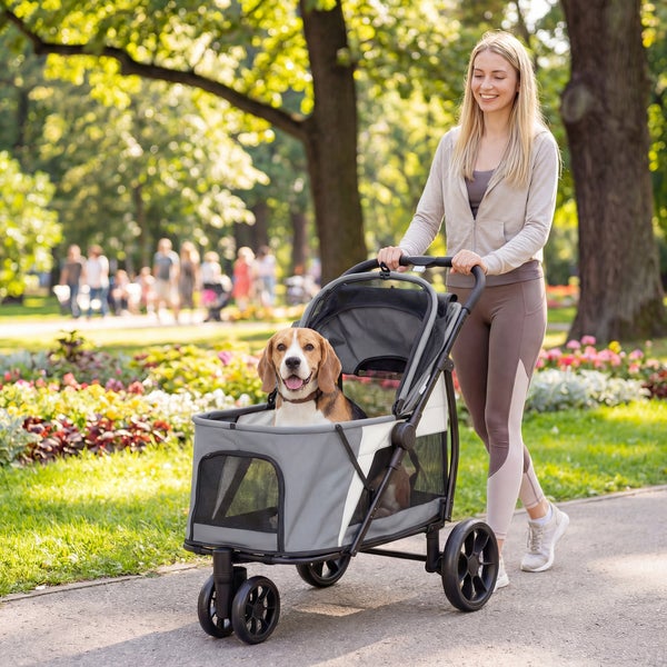 Eine Frau schiebt einen grauen Hundebuggy mit einem Beagle auf einem Parkweg zwischen Bäumen und Blumenbeeten.