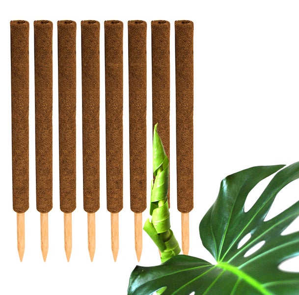 BigDean 8er Set Pflanzstäbe Kokos 60 cm - Monstera Rankhilfe Rankstäbe Stab Moosstäbe Pflanzenstäbe Kokosstäbe für Pflanzen - aus natürlicher Kokosfaser - verlängerbar