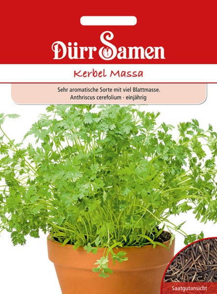 Samentüte Dill Blattreicher mit Pabst Keimkraft Logo und Anbauinfos wie Aussaatzeit, sonnigem Standort und Wuchshöhe von circa 120 Zentimetern.