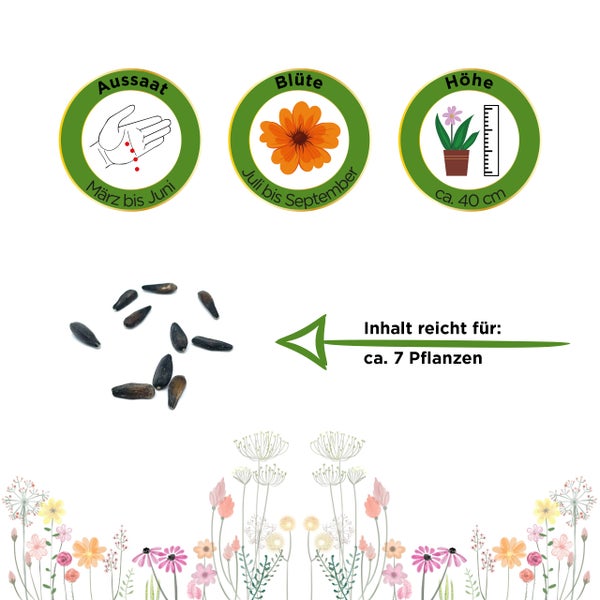 Details zu Aussaat (März bis Juni), Blüte (Juli bis September), Höhe (circa 40 Zentimeter) und Samen. Inhalt für circa 7 Pflanzen.