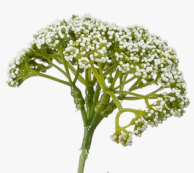 Künstlicher Dekozweig mit weißen Blütendolden.
