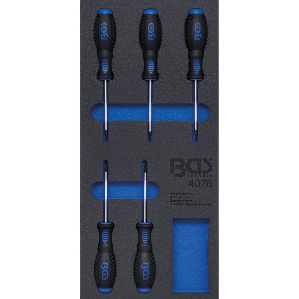BGS T-Griff Schraubendreher Set mit sechs Teilen im Werkzeugkoffer