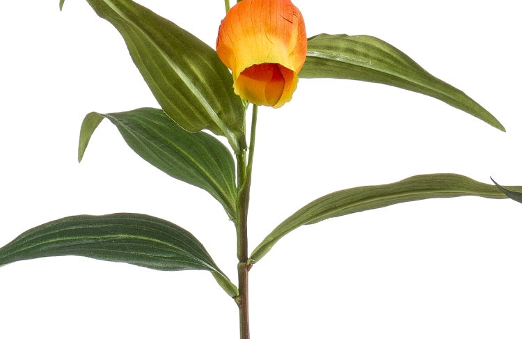 Künstliche Sandersonia mit orangefarbenen glockenförmigen Blüten und grünen Blättern.