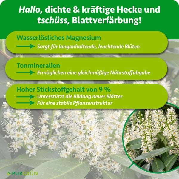 Infografik für Heckendünger von Purgrün: Wasserlösliches Magnesium, Tonmineralien und neun Prozent Stickstoffgehalt für dichte Hecken.