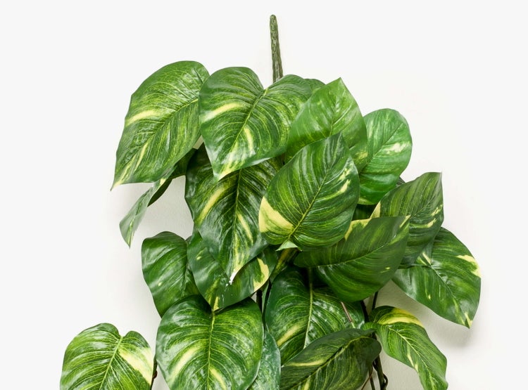 Künstlicher Busch Efeututen JULIANO auf Steckstab, grün, 135cm - Künstlicher Pothos