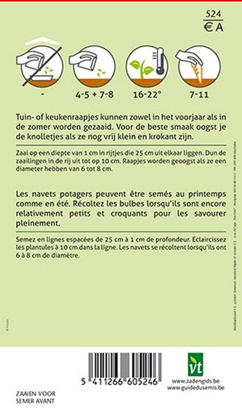 Informationen zur Aussaat von Rüben