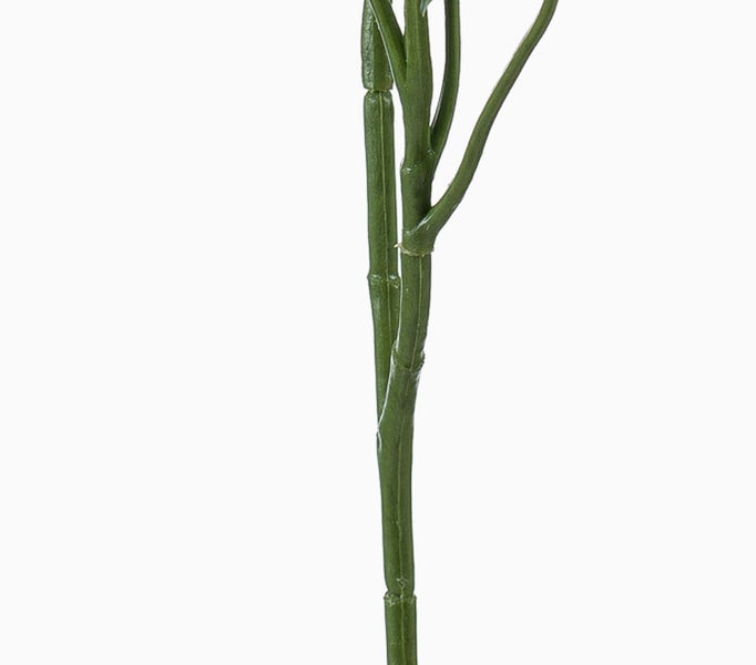 Künstliche Hängepflanze Sukkulente mit kleinen runden Blättern.