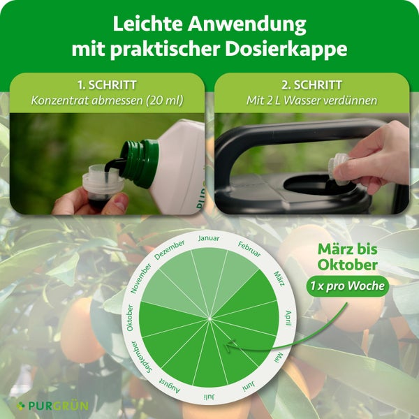 Anwendungshinweise für Purgrün Dünger mit Dosierkappe: Konzentrat abmessen, mit Wasser mischen und von März bis Oktober einmal wöchentlich anwenden.
