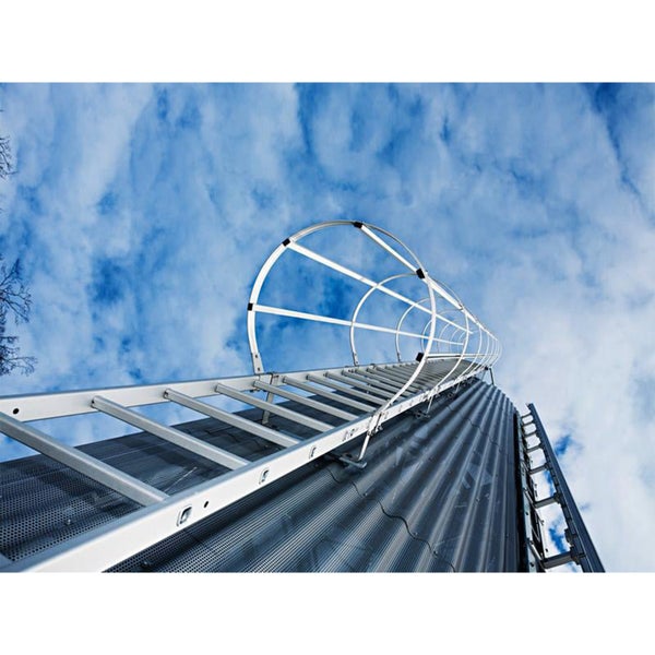 Eine vertikale Steigleiter mit Schutzkorb an einem Industriesilo, Blick von unten nach oben gegen einen bewölkten Himmel.