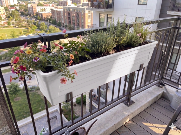 Weißer Balkonkasten mit Blumen und Kräutern, befestigt an einem Metallgeländer auf einem hellen Balkon mit Stadtblick.