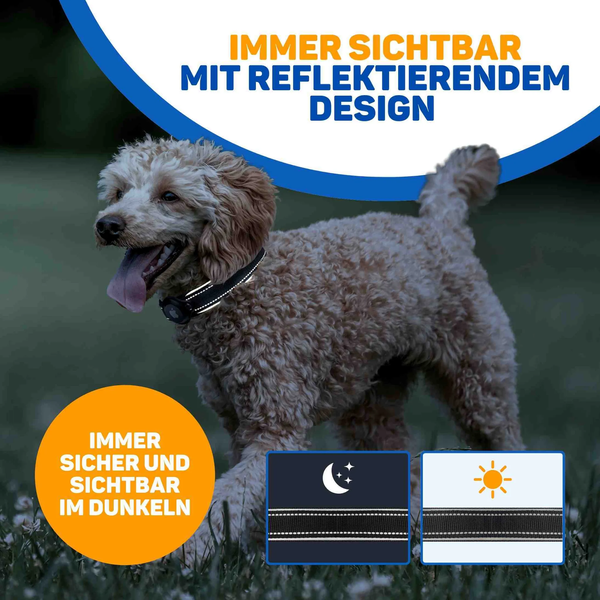 Hund mit reflektierendem Halsband mit Halterung für Tracker, sorgt für gute Sichtbarkeit bei Dunkelheit und Tageslicht.