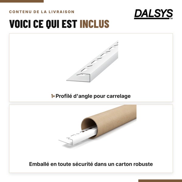Dalsys Logo und Lieferumfang bestehend aus einem Fliesenwinkelprofil in einer stabilen Papprolle zur sicheren Verpackung.