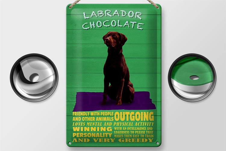 Blechschild Spruch 20x30cm Labrador Chocolate Hund