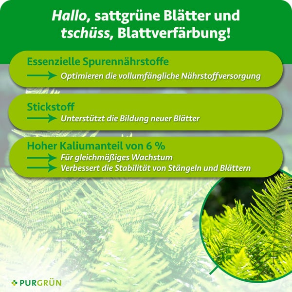 Infografik zum Purgrün Pflanzendünger mit Hinweisen zu essenziellen Spurennährstoffen, Stickstoff und Kaliumgehalt für gesundes Pflanzenwachstum.