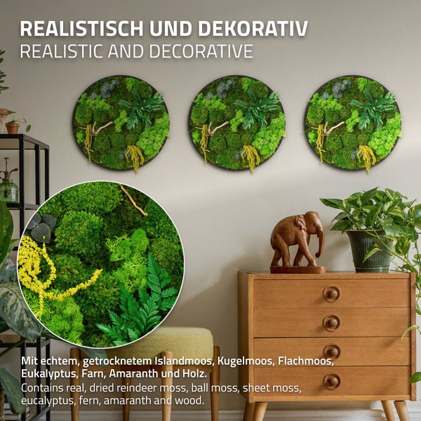 Drei runde Wandbilder mit echtem konserviertem Islandmoos, Kugelmoos, Flachmoos, Eukalyptus, Farn, Amaranth und Holz als dekorative Wandgestaltung.