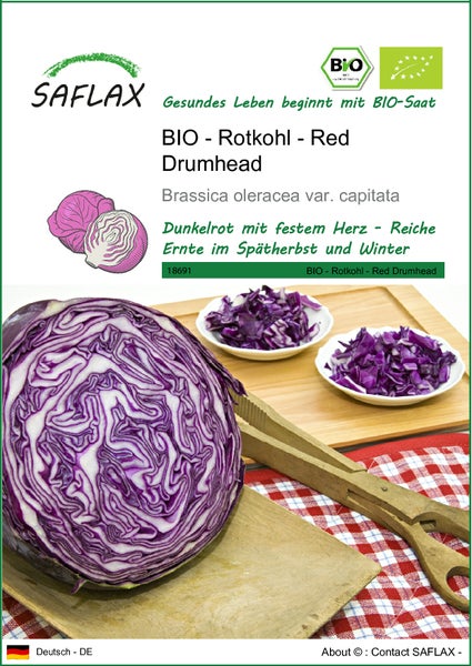 SAFLAX  - BIO - Rotkohl - Red Drumhead - Brassica oleracea var. capitata - 250 Samen