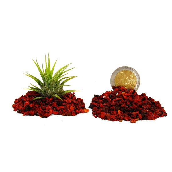 Lindr Kontakt 40 Zapfanlage mit zwei Hähnen