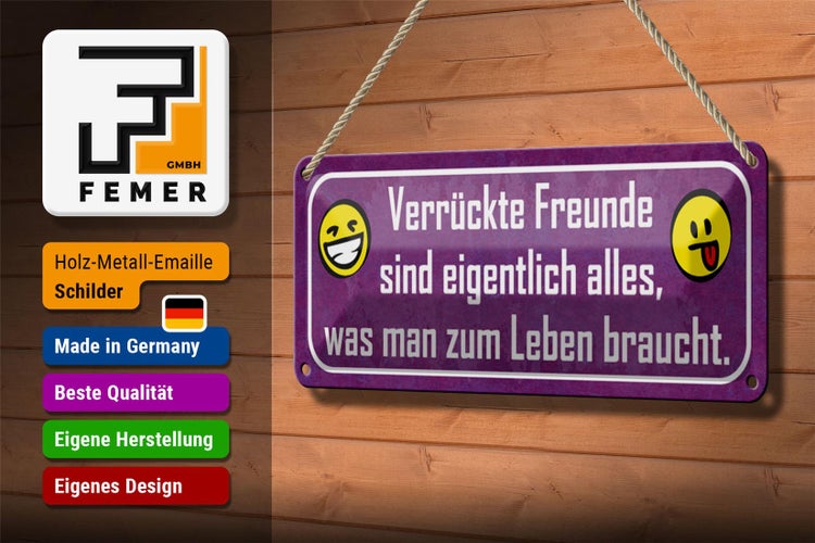 Blechschild Spruch 27x10cm verrückte Freunde sind alles was Dekoration