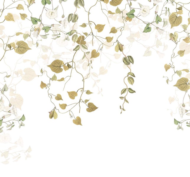 Illustration von Kletterpflanzen mit Blättern und Blüten