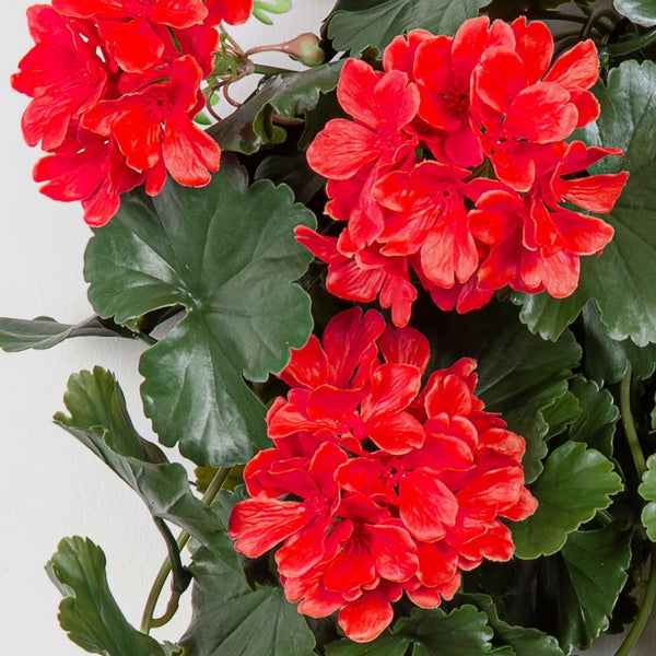 Künstliche Geranie mit grünen Blättern und roten Blüten.