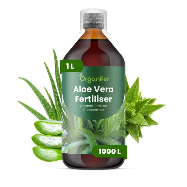 Organifer Aloe Vera Dünger, organisches Düngerkonzentrat, 1 Liter Flasche für 1000 Liter, Organifer Logo, mit Aloe Vera Pflanzen und Messbecher.