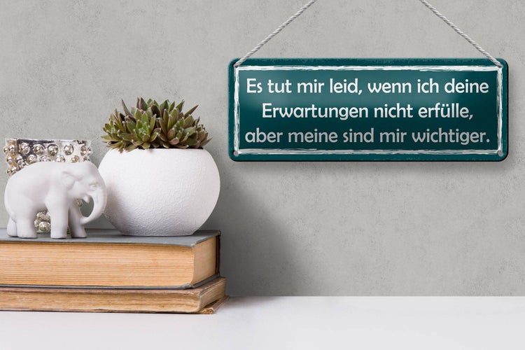 Blechschild Spruch 27x10cm deine Erwartungen nicht erfülle Dekoration