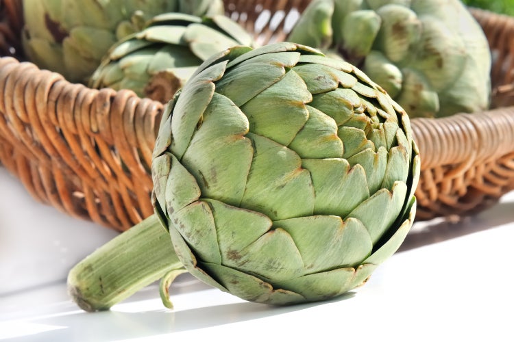 SAFLAX Garden to go - BIO - Artischocke - Imperial Star - Cynara scolymus - 5 Samen - Mit Topf, Klima - Deckel und Anzuchtsubstrat