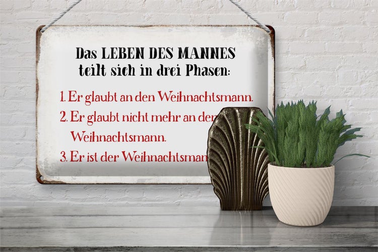 Blechschild Spruch 30x20cm das Leben des Mannes 3 Phasen