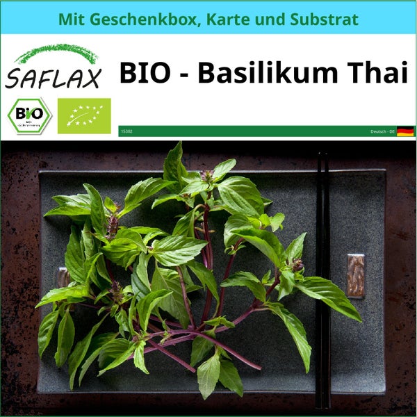 SAFLAX Geschenk Set - BIO - Basilikum Thai - Ocimum basilicum - 250 Samen - Mit Geschenkbox, Versandaufkleber, Geschenkkarte und Anzuchtsubstrat