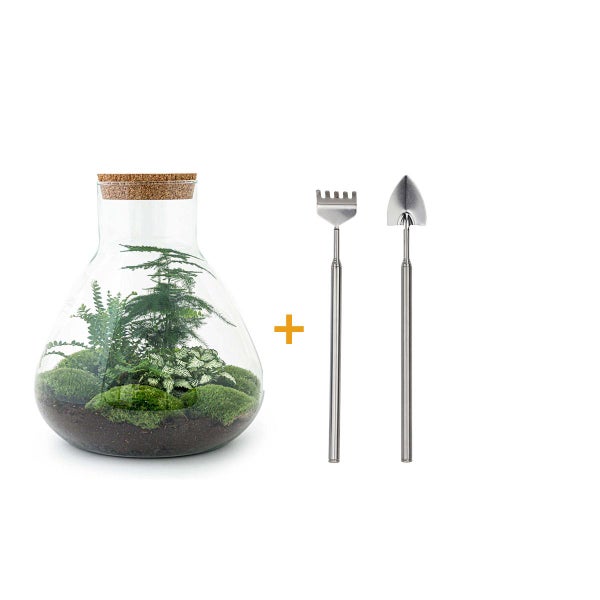 Flaschengarten Sam XL - DIY-Pflanzenterrarium - 35cm - incl. Rechen und Schaufel