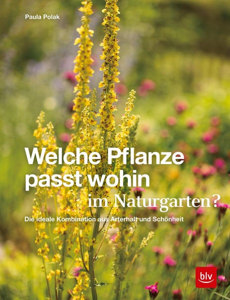 Welche Pflanze passt wohin im Naturgarten? Die ideale Kombination aus Arterhalt und Schönheit