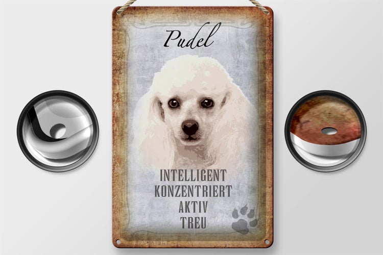 Blechschild Spruch 20x30cm Pudel Hund aktiv Schild