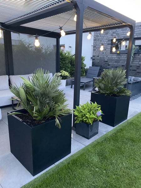 Moderne Terrasse mit schwarzer Lamellenpergola, großen quadratischen Pflanzkübeln mit Palmen, einem Sofa und einer dekorativen Lichterkette.