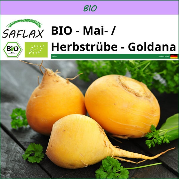 SAFLAX  - BIO - Mai- / Herbstrübe - Goldana - Brassica rapa - 500 Samen