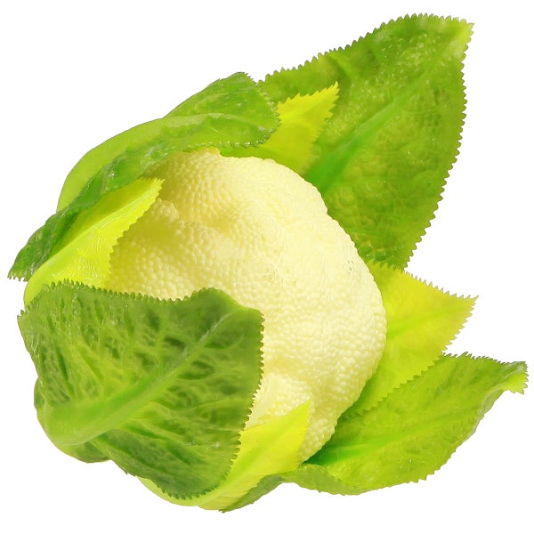 Dekorativer Kunstblumenkohl mit grünen Blättern