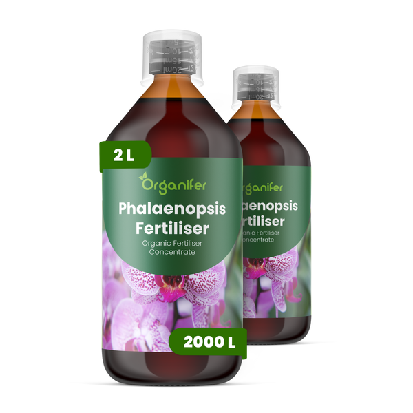 Organifer Phalaenopsis Dünger, organisches Düngerkonzentrat für Orchideen, 2 Liter.
