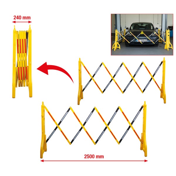 Blühende Gypsophila-Pflanze im Garten