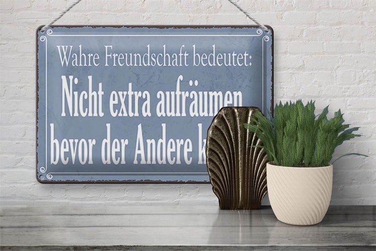 Blechschild Spruch 30x20cm wahre Freundschaft bedeutet