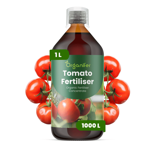 Organifer Bio Tomatendünger Konzentrat 1 Liter für 1000 Liter Gießwasser mit Messbecher.