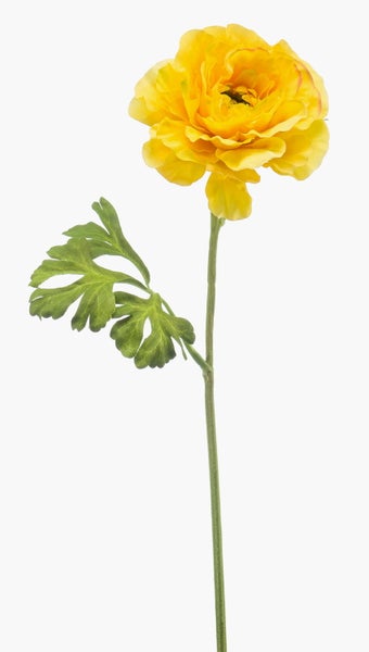 Künstliche Ranunkel mit gelber Blüte, grünem Stiel und Blatt.