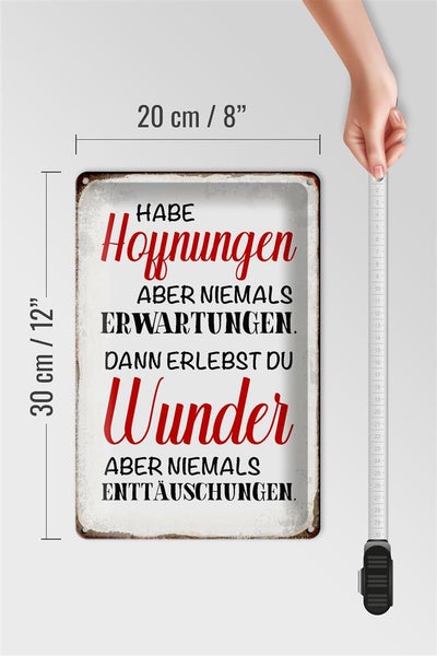Blechschild Spruch 20x30cm habe Hoffnung Erwartungen Wunder