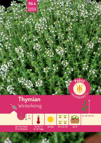 Samentüte Thymian Winterkönig, Pabst Keimkraft Logo, blühende Pflanzen, Lichtkeimer, sonnig, Ernte ab Juni, Höhe circa 20 bis 30 cm.