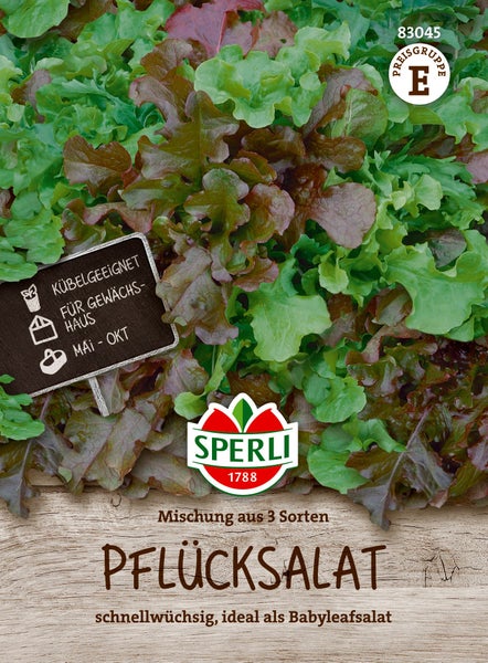 Sperli Saatgut Pflücksalat Mischung aus 3 Sorten für Kübel und Gewächshaus