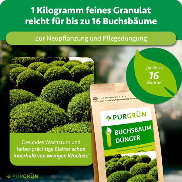 Purgrün Buchsbaumdünger 1 Kilogramm für 16 Bäume, zur Neupflanzung und Pflegedüngung, für gesundes Wachstum. Purgrün Logo.