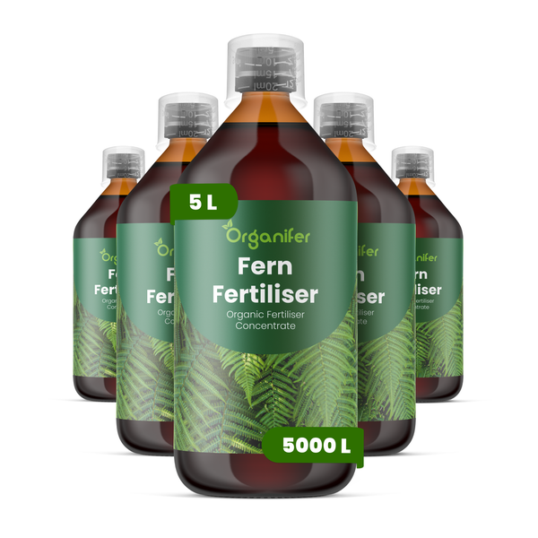 Organifer Bio-Farndünger Konzentrat, 5 Liter Flasche für circa 5000 Liter Gießwasser, 5er Pack.