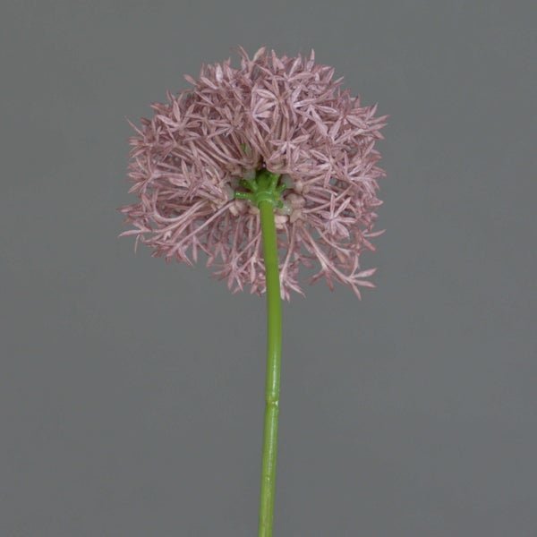 Künstliche Allium-Blume mit rosa Blütenkopf und grünem Stängel.