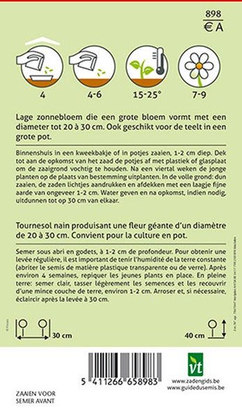 Informationen zum Anpflanzen von Sonnenblumen