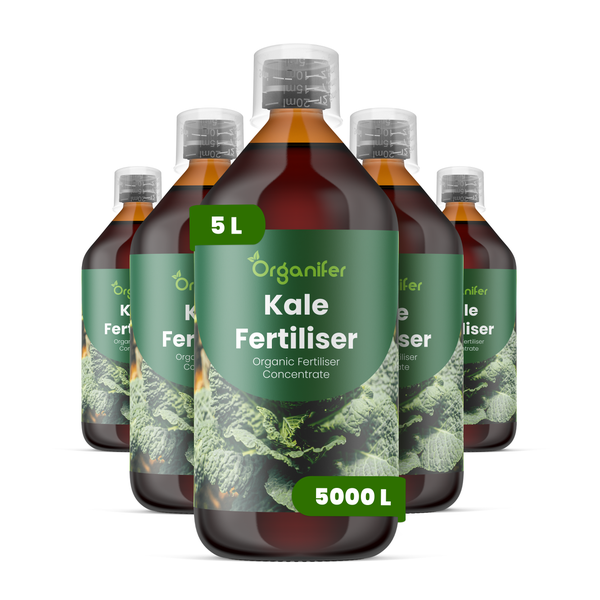 Organifer Bio-Lorbeer-Dünger Konzentrat, 1 Liter Flasche, ergibt 1000 Liter.