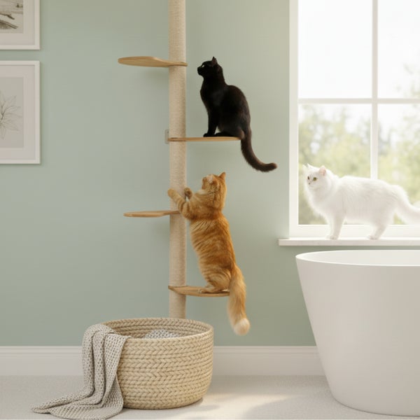Deckenhoher Kratzbaum mit Sisalstamm und Holzebenen, auf dem zwei Katzen spielen, neben einem Korb mit Decke und einer Badewanne.
