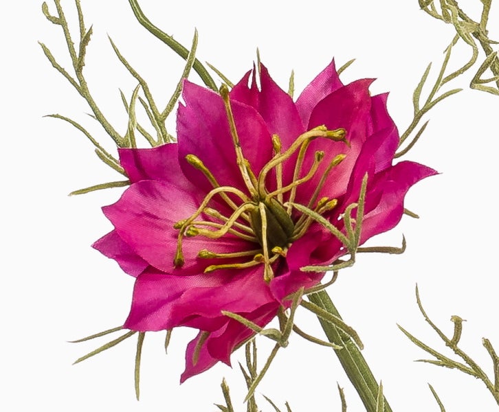 Nahaufnahme einer Kunstpflanze mit grün-rosa gemusterten Blättern.